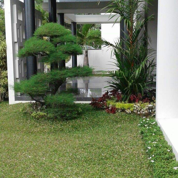 Desain Taman Yogyakarta. kebun taman minimalis relief 
